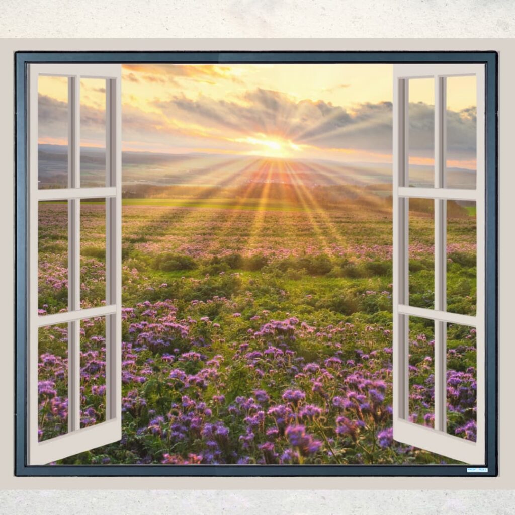 Insektenschutz für das Fenster